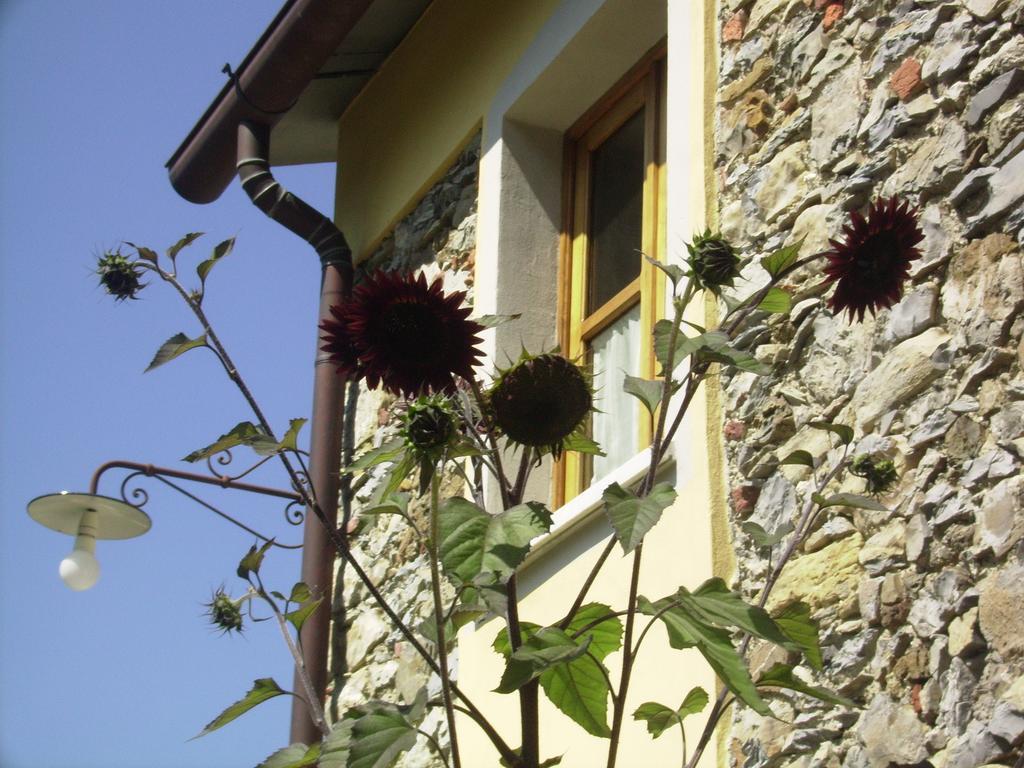 포스디노보 Il Girasole B&B 외부 사진
