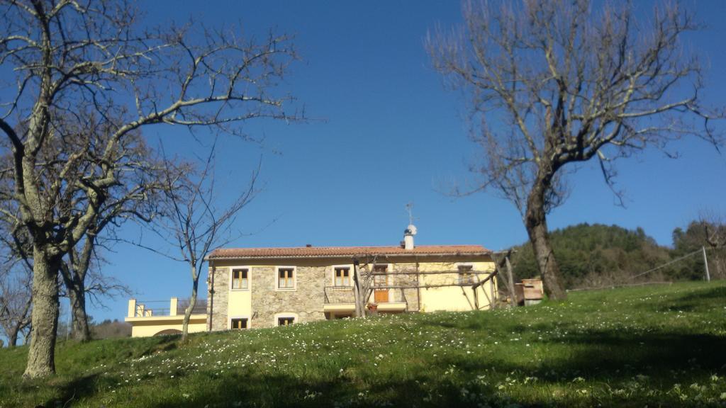 포스디노보 Il Girasole B&B 외부 사진